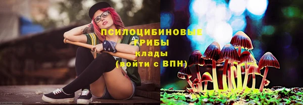 ПСИЛОЦИБИНОВЫЕ ГРИБЫ Алексеевка