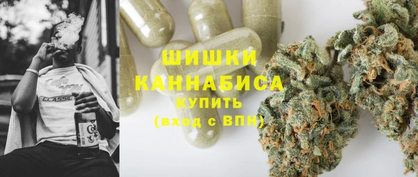 ПСИЛОЦИБИНОВЫЕ ГРИБЫ Алексеевка