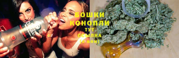 ПСИЛОЦИБИНОВЫЕ ГРИБЫ Алексеевка