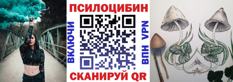 Галлюциногенные грибы Psilocybe  Купить  Энем 